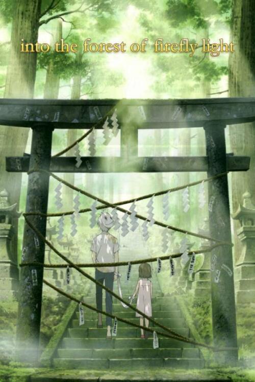 To the Forest of Firefly Lights